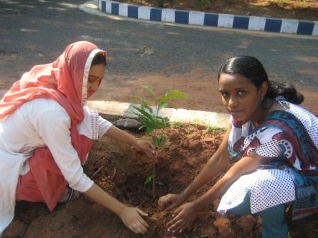 NSS had undertaken Tree Plantation in the Institution premises planted at different locations on campus.