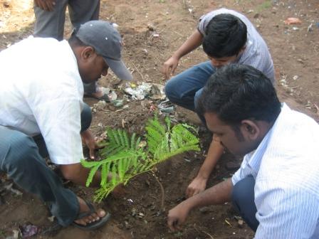 Boys Planting a tree Boys Students