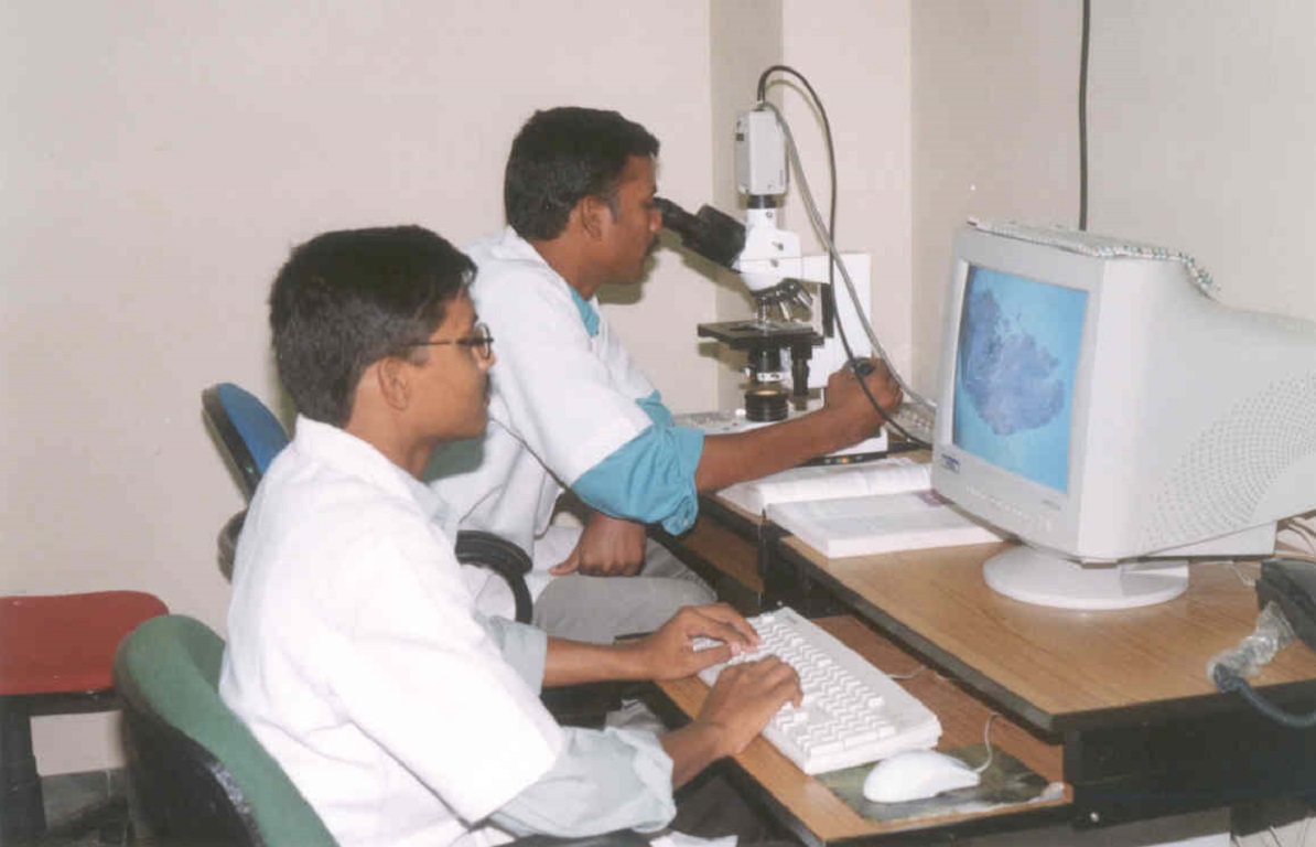 Making report of Pathology Report pathology